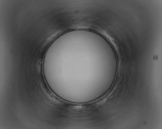 X0000091680153200708231116