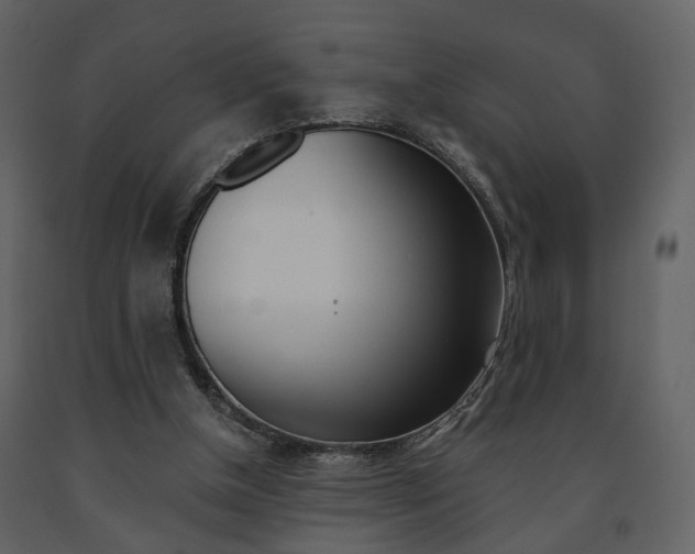 X0000091680154200708231116