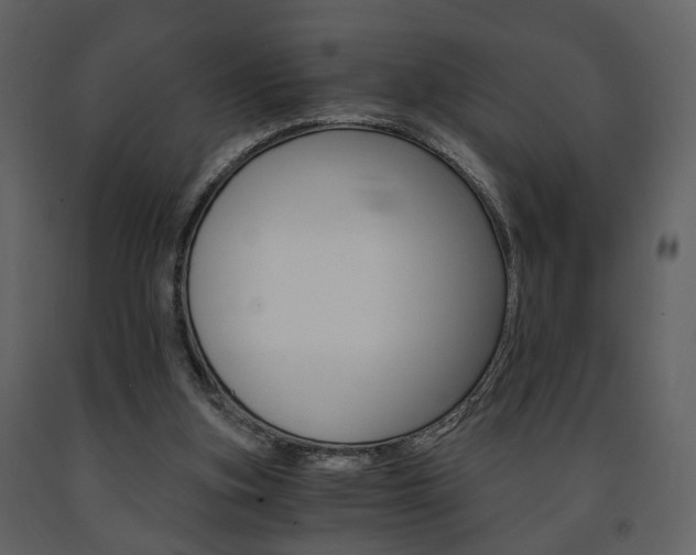 X0000091680155200708231116