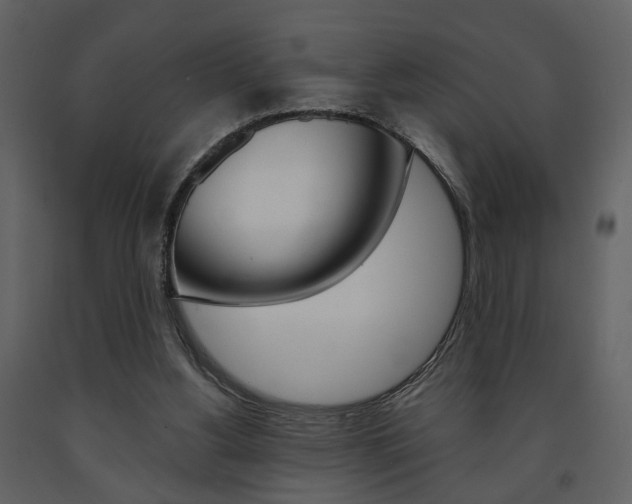 X0000091680156200708231116