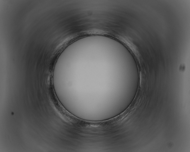 X0000091680157200708231116