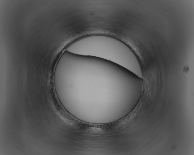 X0000091680159200708231116