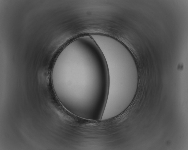 X0000091680160200708231116