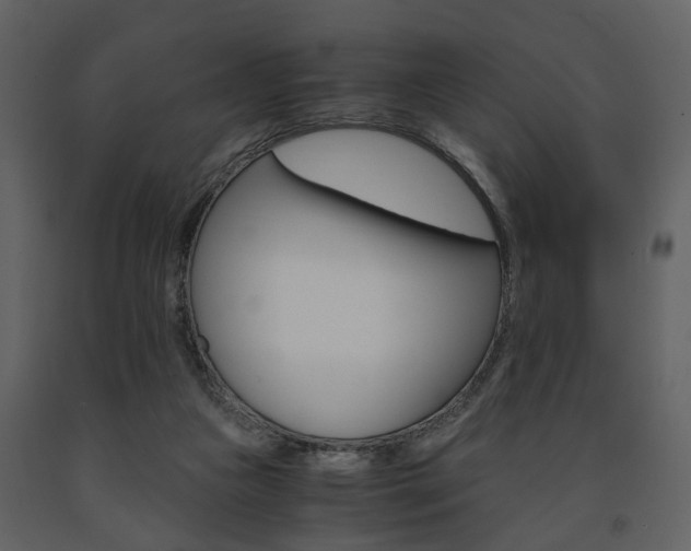 X0000091680161200708231116