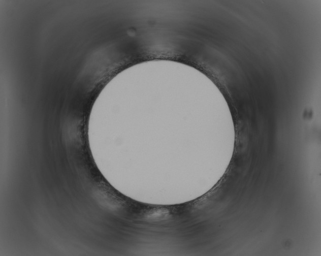 X0000091680162200708231116
