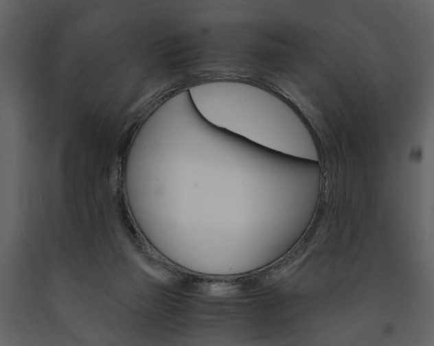 X0000091680165200708231116