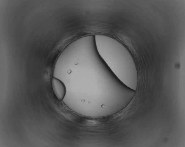 X0000091680167200708231116