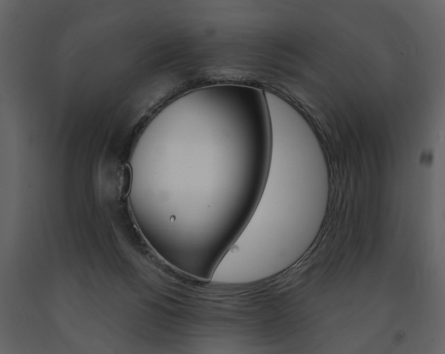 X0000091680168200708231116