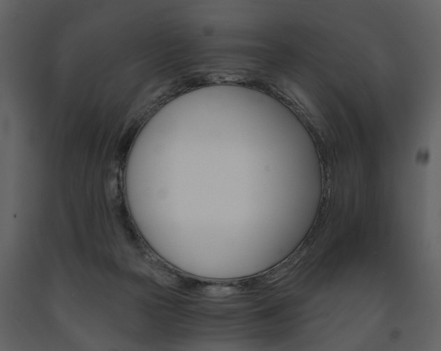X0000091680169200708231116