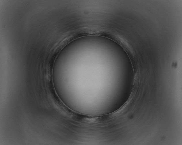 X0000091680170200708231116