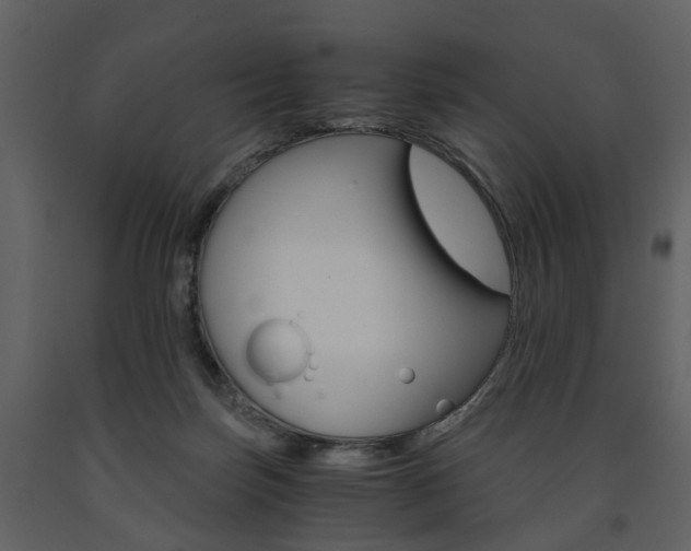 X0000091680171200708231116