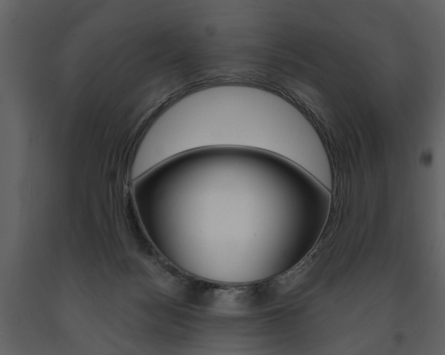 X0000091680172200708231116