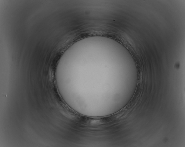 X0000091680173200708231116