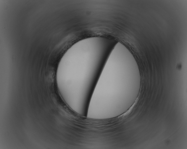 X0000091680174200708231116