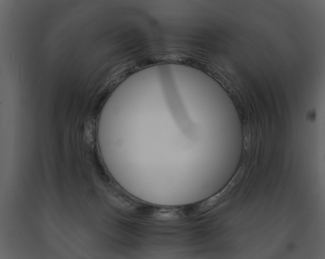 X0000091680175200708231116