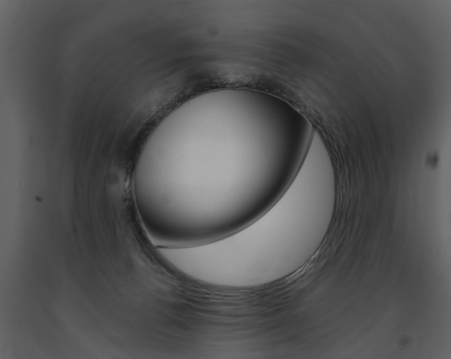 X0000091680176200708231116