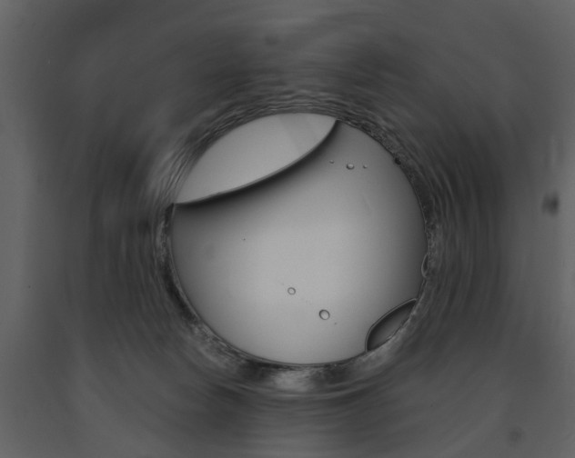 X0000091680178200708231116