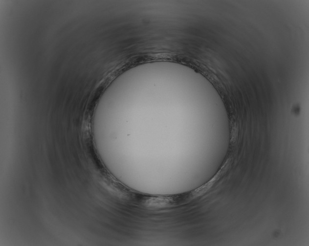 X0000091680179200708231116