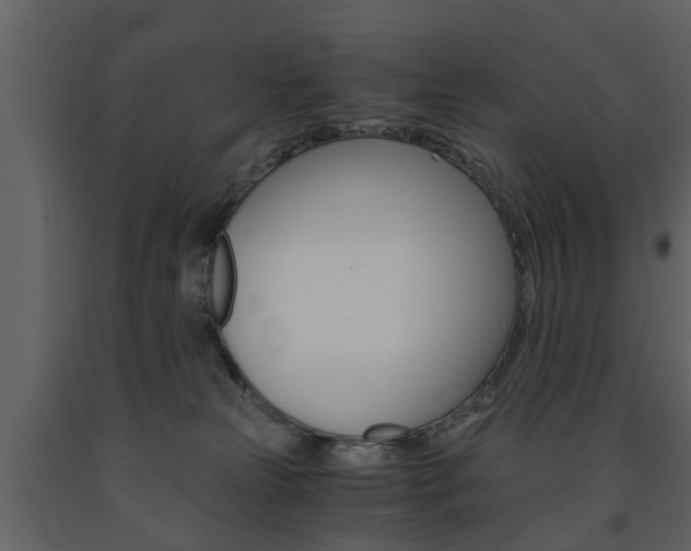 X0000091680181200708231116
