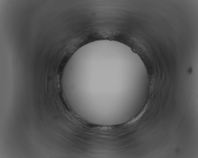 X0000091680182200708231116