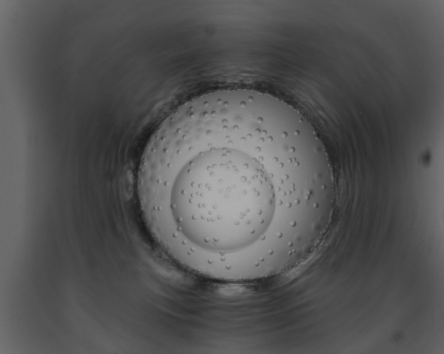 X0000091680183200708231116