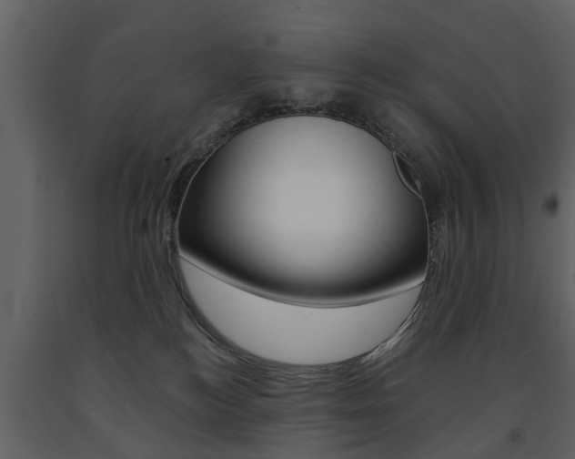 X0000091680184200708231116
