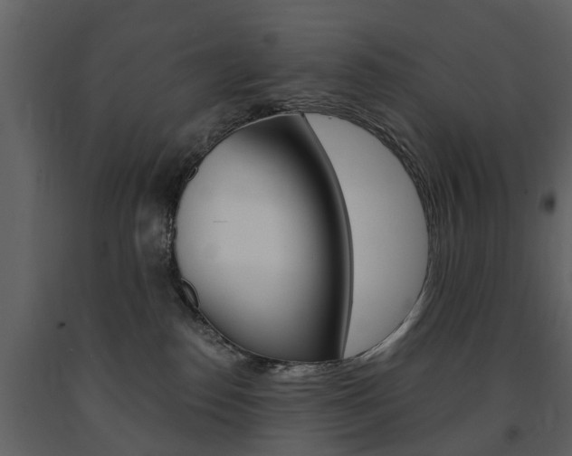 X0000091680186200708231116