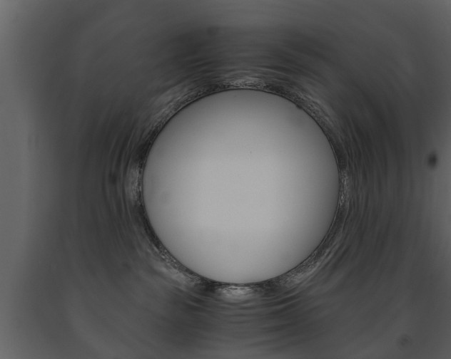 X0000091680189200708231116