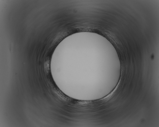 X0000091680190200708231116