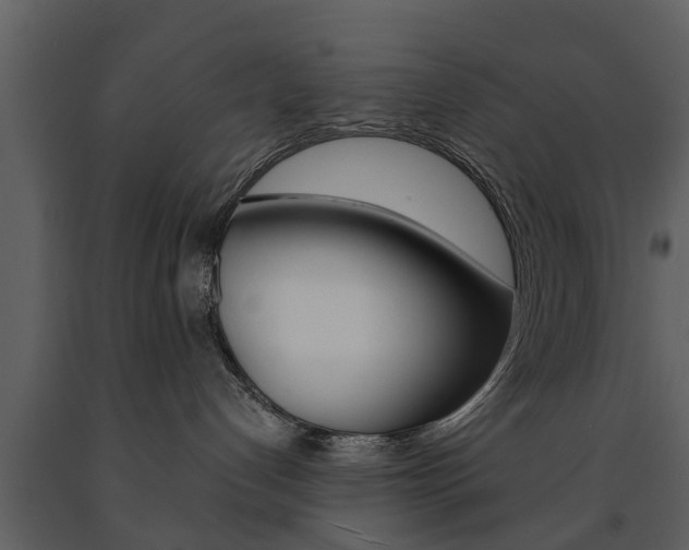 X0000091680192200708231116