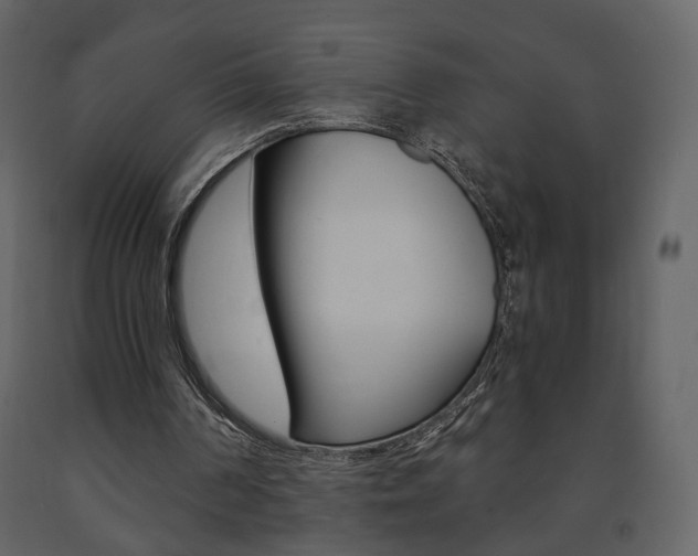 X0000091680194200708231115