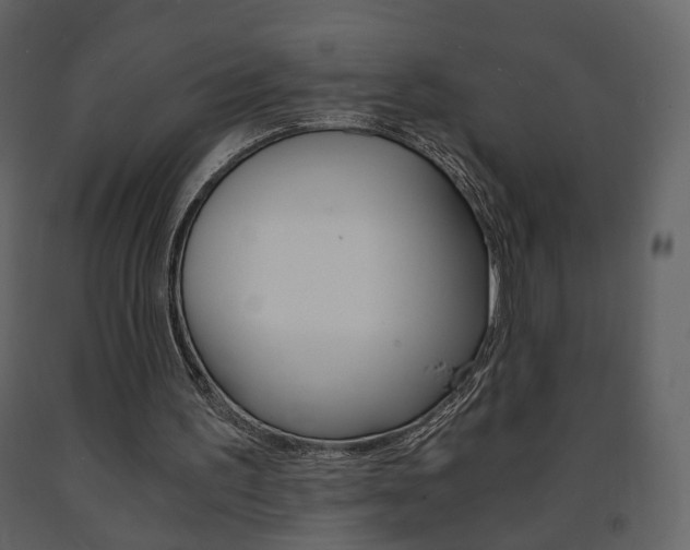 X0000091680195200708231115