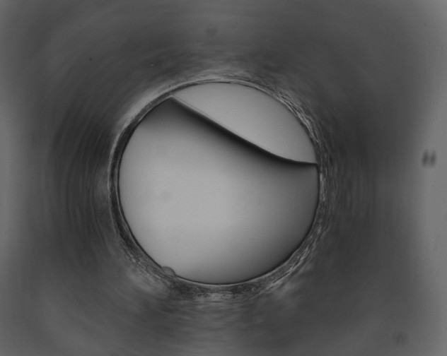 X0000091680196200708231115