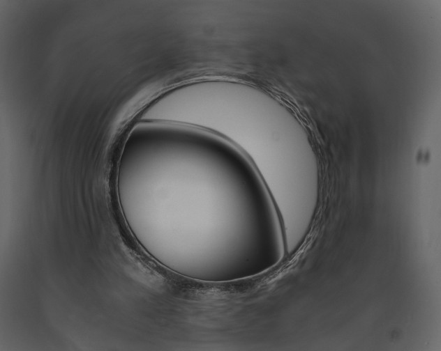 X0000091680197200708231115