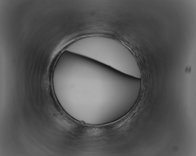 X0000091680198200708231115