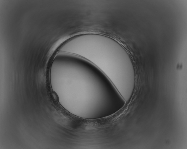 X0000091680200200708231115