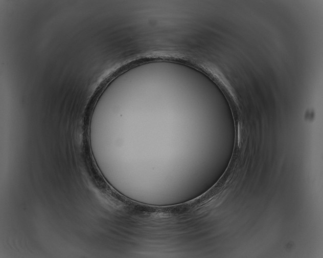 X0000091680204200708231115
