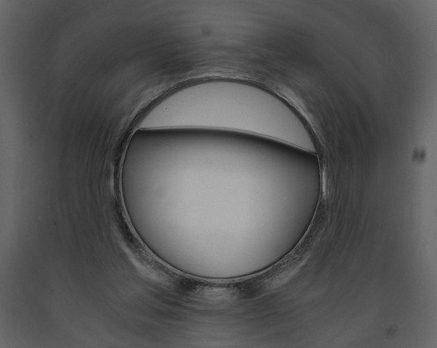X0000091680205200708231115