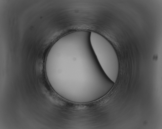 X0000091680206200708231115