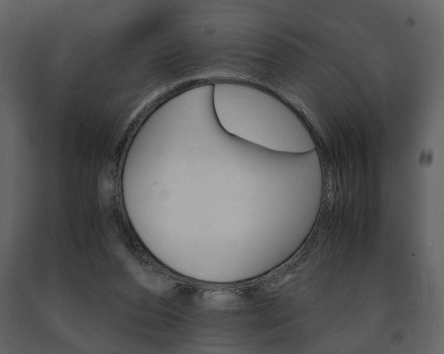 X0000091680208200708231115