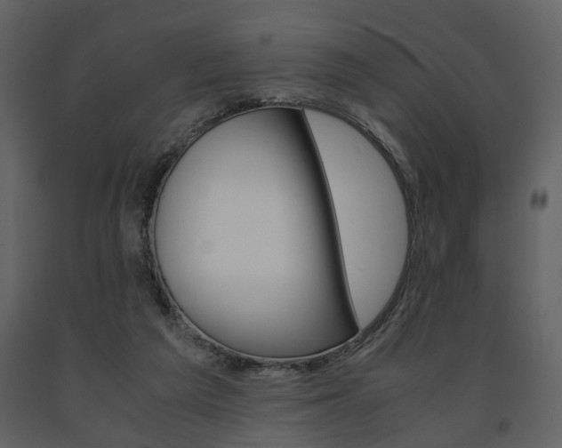 X0000091680209200708231115