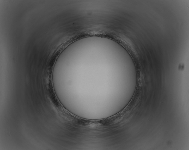 X0000091680210200708231115