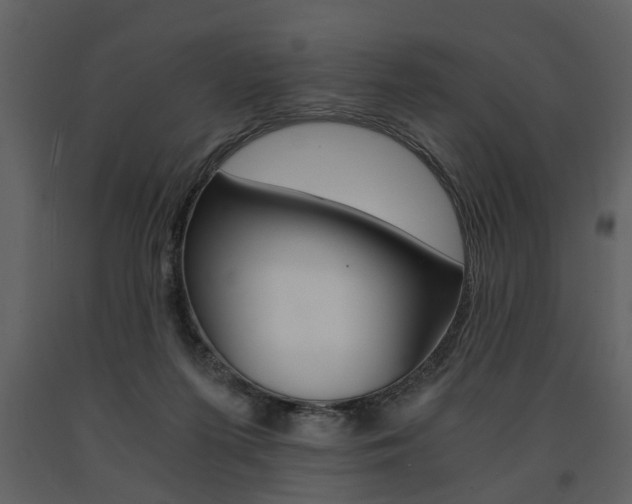 X0000091680215200708231115