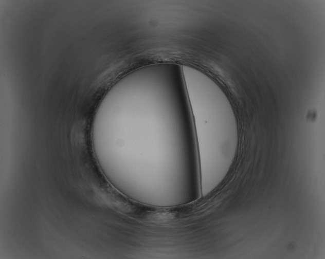 X0000091680217200708231115