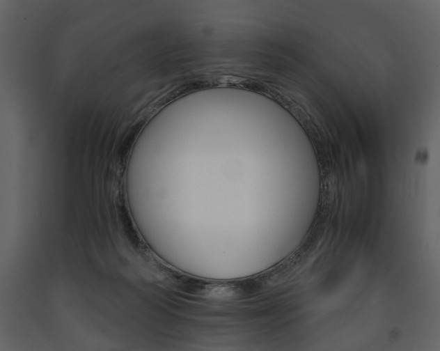 X0000091680218200708231115