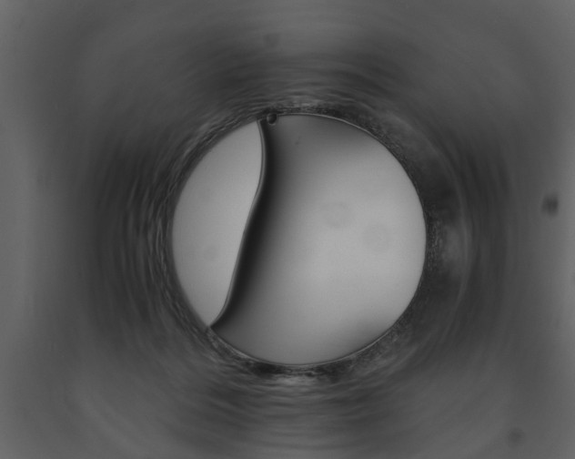 X0000091680220200708231115