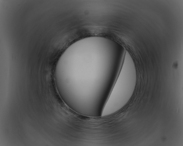 X0000091680221200708231115