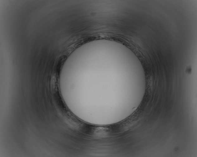 X0000091680222200708231115