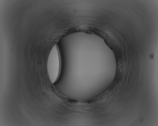 X0000091680223200708231115