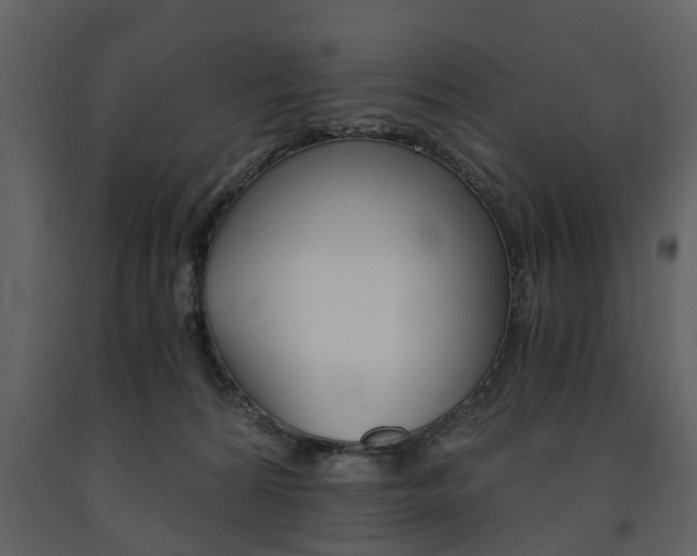X0000091680224200708231115